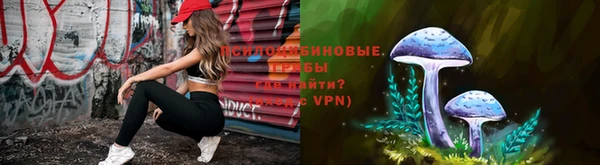 шишки Баксан