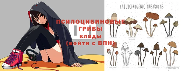apvp Балабаново