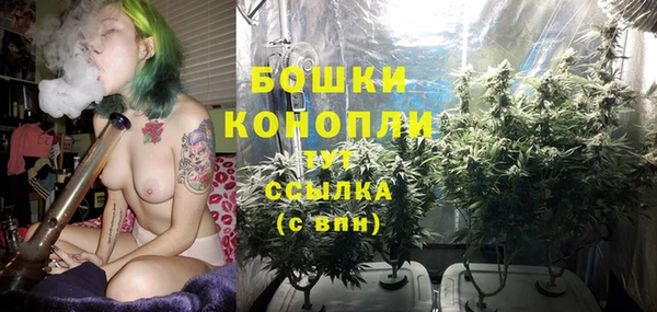 apvp Балабаново