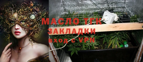 шишки Баксан