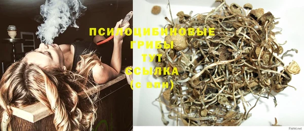 apvp Балабаново