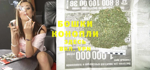 шишки Баксан