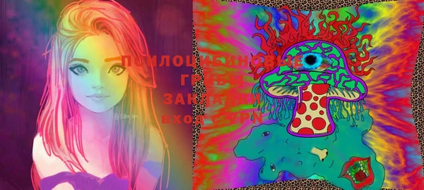 шишки Баксан
