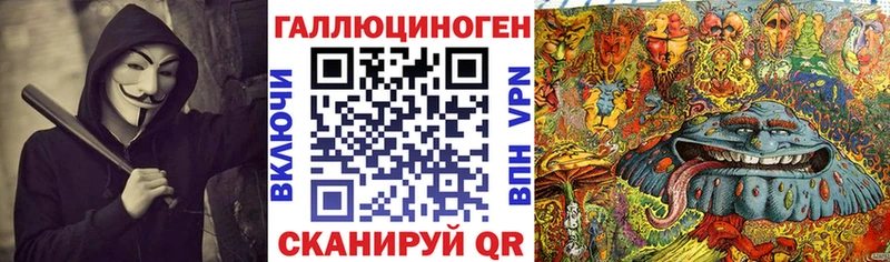 Псилоцибиновые грибы прущие грибы  Волхов 